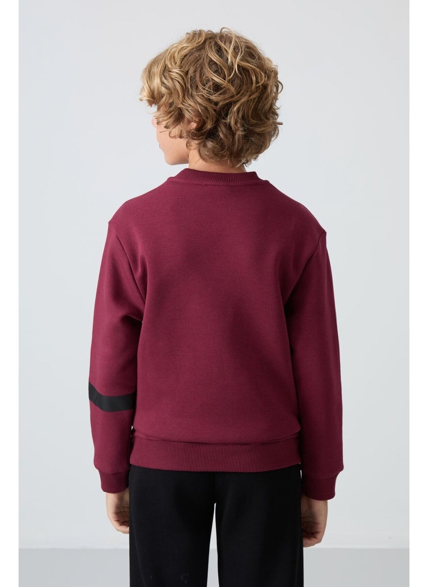 Tommy Life Judas tree cotton thick fluffy soft textured standard fit printed boy sweatshirt - 11238  - Image 5