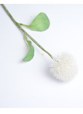Artificial rose White - pzsku/ZB72F628D134B00210EE0Z/45/_/1729074330/de5b7325-cd38-4f57-9198-b8b576456006