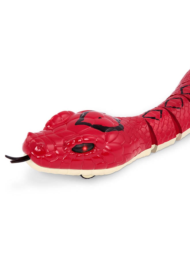 Terra by Battat - Rainbow Boa Infrared Remote Control Snake with Light-Up Eyes, Electronic Animal Toys and Playsets for Kids Aged 6+ Years - Image 1