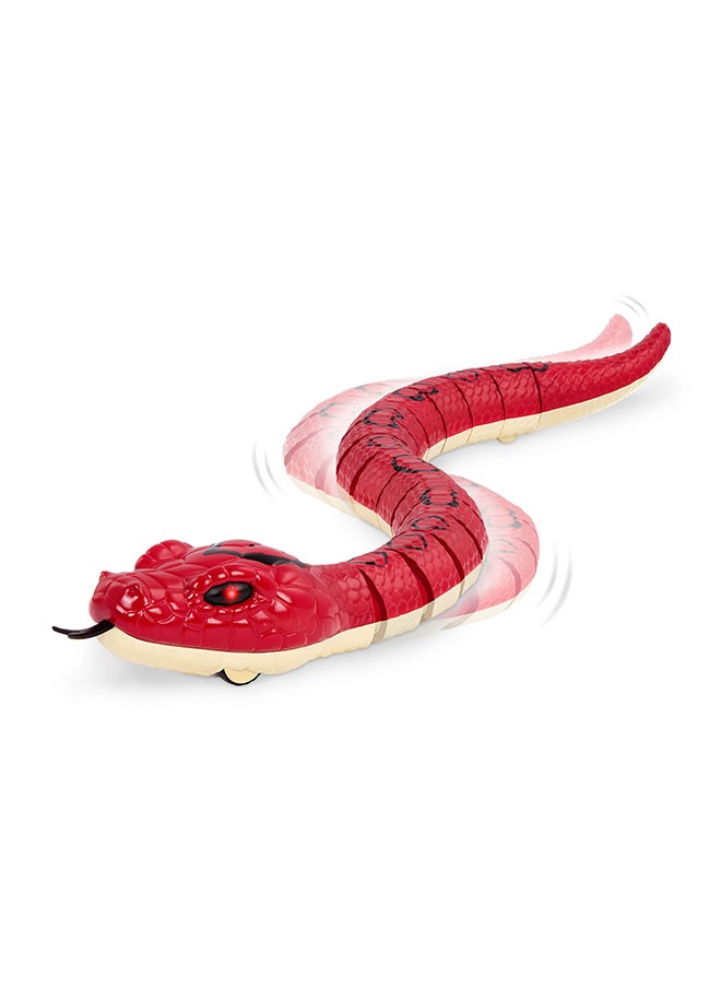 Terra by Battat - Rainbow Boa Infrared Remote Control Snake with Light-Up Eyes, Electronic Animal Toys and Playsets for Kids Aged 6+ Years - Image 1