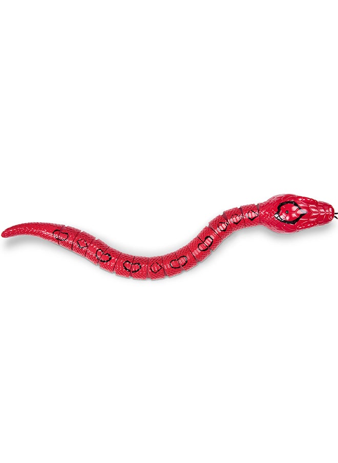 Terra by Battat - Rainbow Boa Infrared Remote Control Snake with Light-Up Eyes, Electronic Animal Toys and Playsets for Kids Aged 6+ Years - Image 1