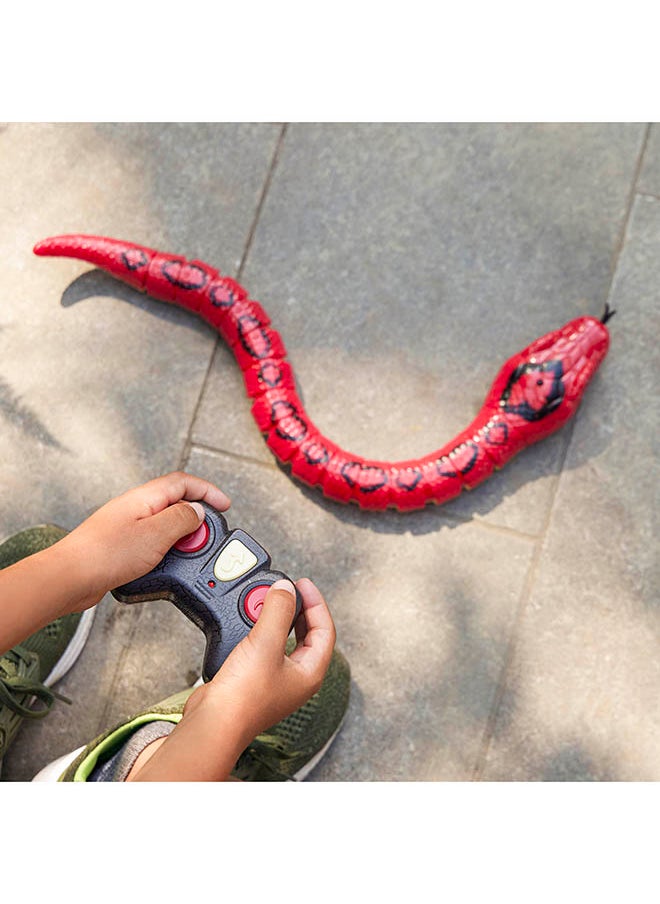 Terra by Battat - Rainbow Boa Infrared Remote Control Snake with Light-Up Eyes, Electronic Animal Toys and Playsets for Kids Aged 6+ Years - Image 1