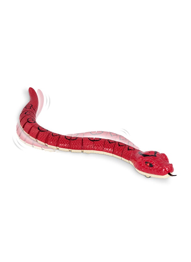 Terra by Battat - Rainbow Boa Infrared Remote Control Snake with Light-Up Eyes, Electronic Animal Toys and Playsets for Kids Aged 6+ Years - Image 1