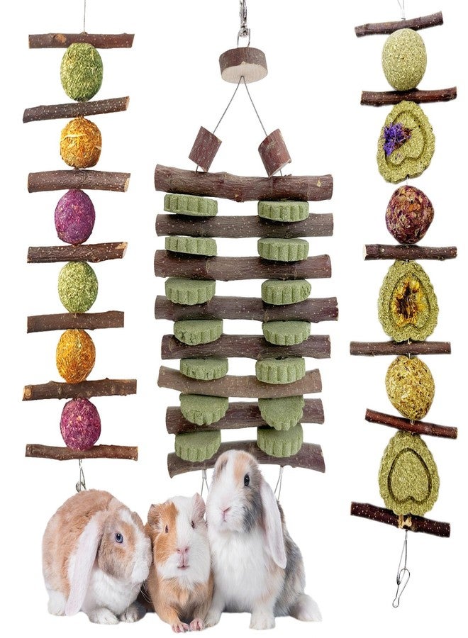 Hamiledyi Bunny Chew Toys Rabbit Hanging Toys for Teeth Grinding Rabbit Toys Natural Fruit Sticks Timothy Grass Cakes Chew Toys and Treats Improve Dental Health for Guinea Pig Hamster Chinchilla - Image 1