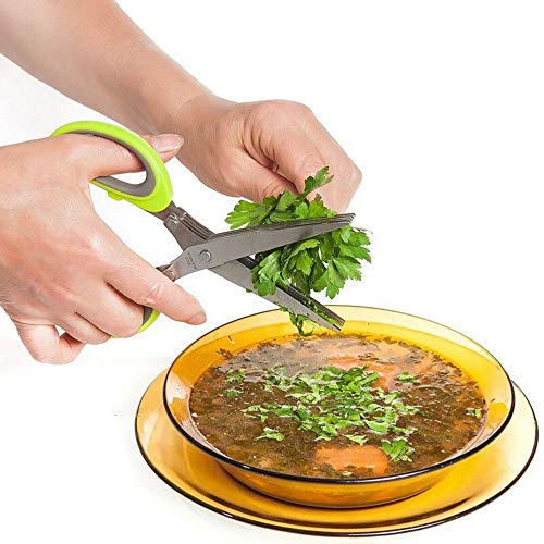 Palshiv Multifunction5 Blade Vegetable Stainless Steel Herbs Scissor with Blade Comb (Color May Vary) - Image 3