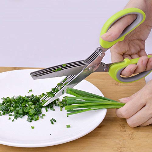 Palshiv Multifunction5 Blade Vegetable Stainless Steel Herbs Scissor with Blade Comb (Color May Vary) - Image 2