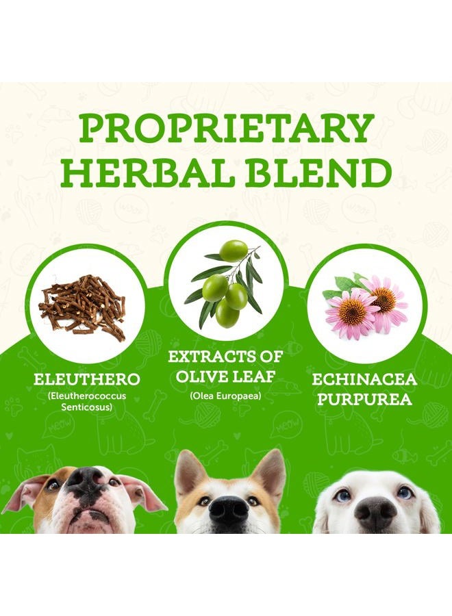 Animal Essentials سوبر مناعة للكلاب والقطط - مكمل دعم المناعة، إشنسا، إلوثيرو، مستخلص ورق الزيتون، قطرات سائلة - 2 أونصة سائلة - Image 3