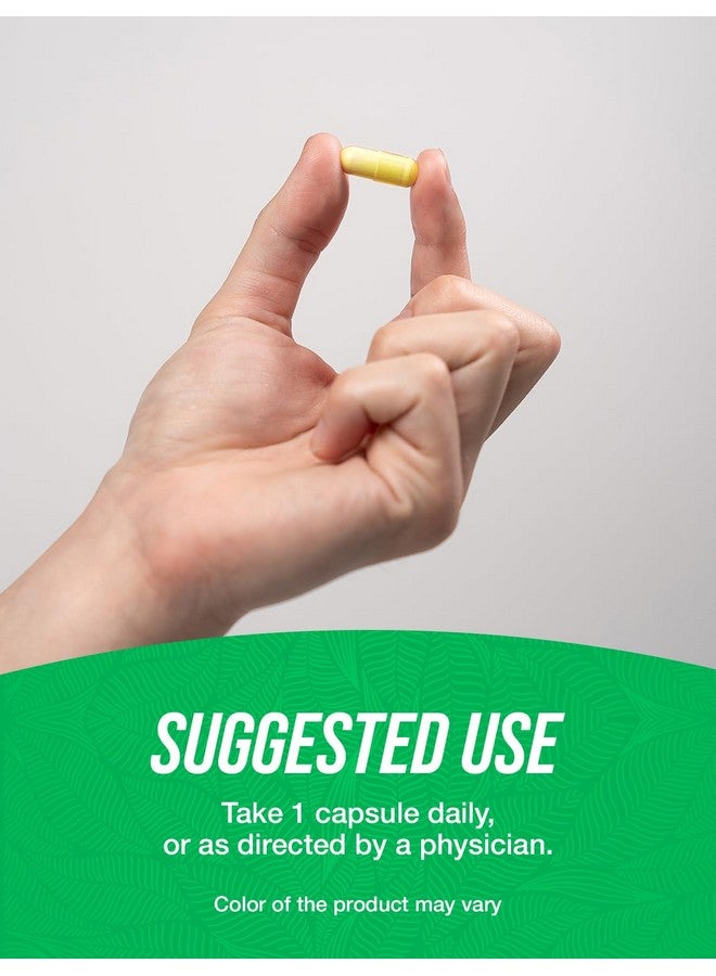 BulkSupplements.com Fisetin Capsules - Fisetin 100mg, Fisetin Supplement - Antioxidants Source, Vegan & Gluten Free, 1 Capsule per Serving, 90 Veg Capsules (Pack of 1) - Image 4