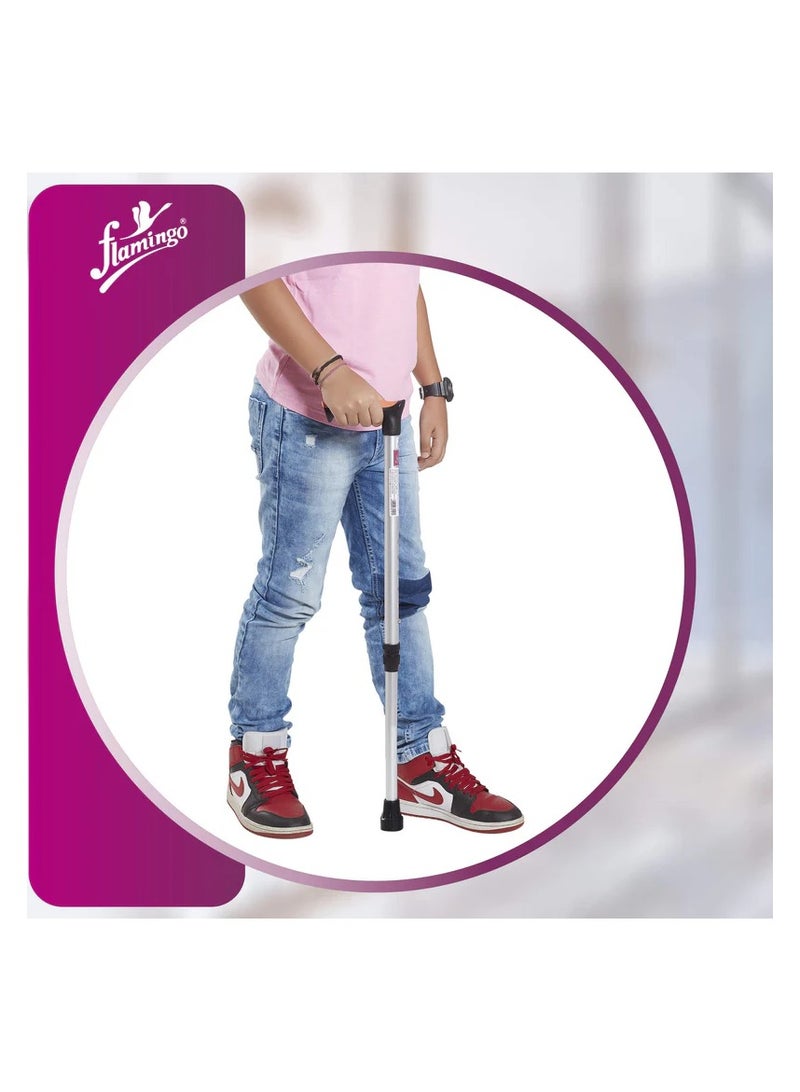 Flamingo عصا المشي للأطفال العالمية