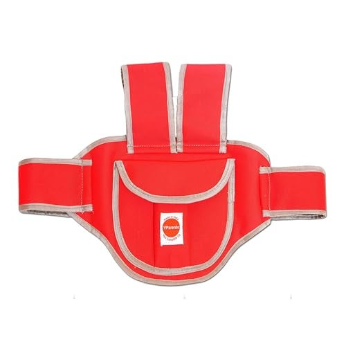 Vparents Ava Kids Safety Two Wheeler Seat Belt/Front Standing and Sitting Behind (Red) - Image 1
