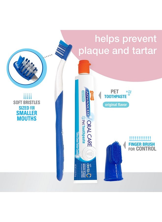Nylabone Nylabone Advanced Oral Care Puppy Dental Kit Puppy Original 3 Count  - Image 2