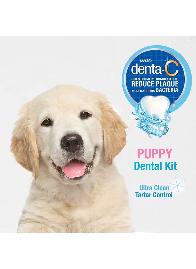 Nylabone Nylabone Advanced Oral Care Puppy Dental Kit Puppy Original 3 Count  - Image 3