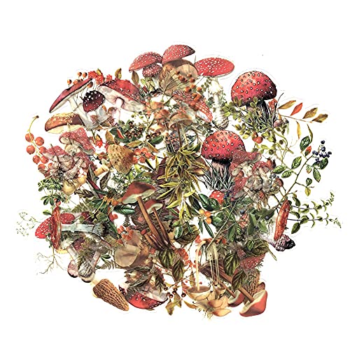1000Art Mushrooms Plant Stickers Set(80 PCS) PET Transparent Vintage Nature Stickers for Scrapbooking Planner Journaling Wrapping DIY Crafts Cards Album Water Bottles Phone Cases Laptops - Image 1