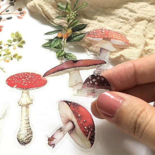 1000Art Mushrooms Plant Stickers Set(80 PCS) PET Transparent Vintage Nature Stickers for Scrapbooking Planner Journaling Wrapping DIY Crafts Cards Album Water Bottles Phone Cases Laptops - Image 5