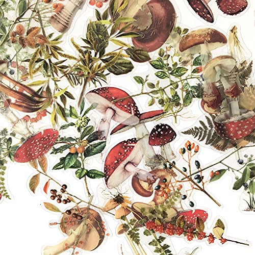 1000Art Mushrooms Plant Stickers Set(80 PCS) PET Transparent Vintage Nature Stickers for Scrapbooking Planner Journaling Wrapping DIY Crafts Cards Album Water Bottles Phone Cases Laptops - Image 3