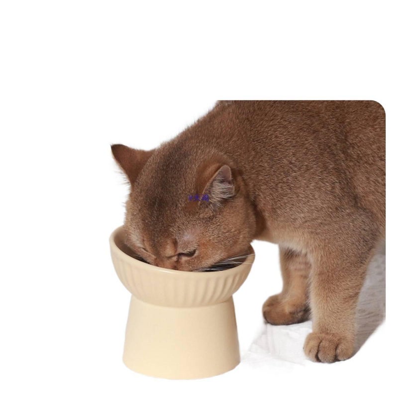 Simple Clean Design Food and Water Raised Cat Bowl with Tilted Bowl Home Feeding Accessory with Floor Mat for Cats and Dogs - Image 4