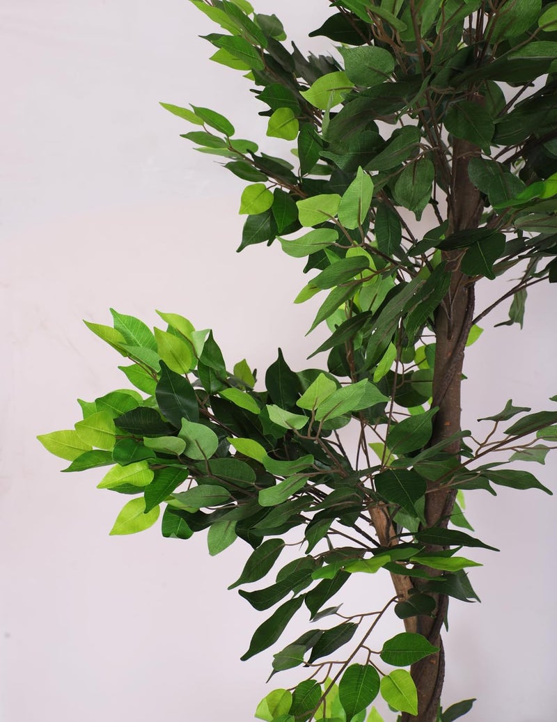 ARICK DECOR ARICK DÉCOR 6ft Artificial Ficus Tree - 180cm Large Faux Floor Plant with Natural Wood Trunk & Lush Silk Leaves - Realistic Potted Greenery for Living Room, Office & Indoor Decor - Image 3