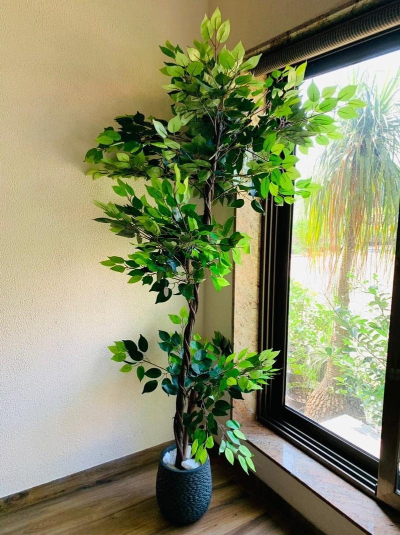 ARICK DECOR ARICK DÉCOR 6ft Artificial Ficus Tree - 180cm Large Faux Floor Plant with Natural Wood Trunk & Lush Silk Leaves - Realistic Potted Greenery for Living Room, Office & Indoor Decor - Image 2
