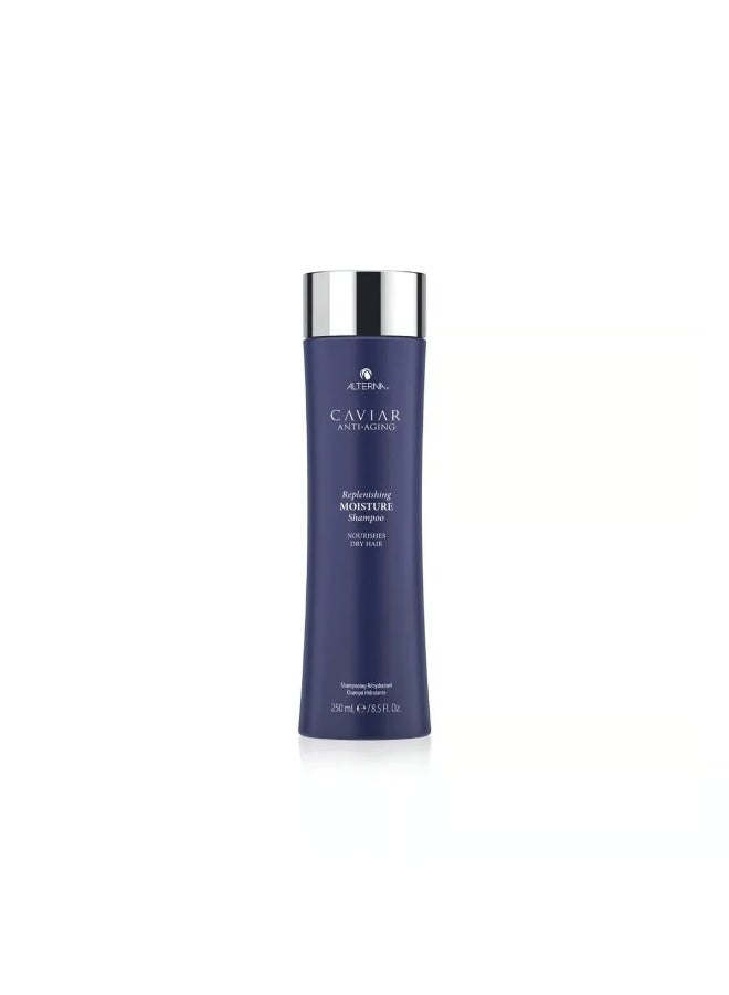 Alterna Caviar Anti-Aging Replenishing Moisture Shampoo 250ml - Image 1