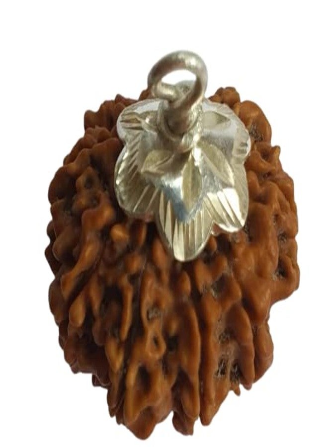 IRIS GEMS 10 وجه رودراكشا أصلي معتمد من IGL 10 موخي رودراكشا مع غطاء فضي 10 مجوهرات رئيسية قلادة داس موخي رودراكشا للرجال والنساء داشا موخي رودراكشا - Image 1