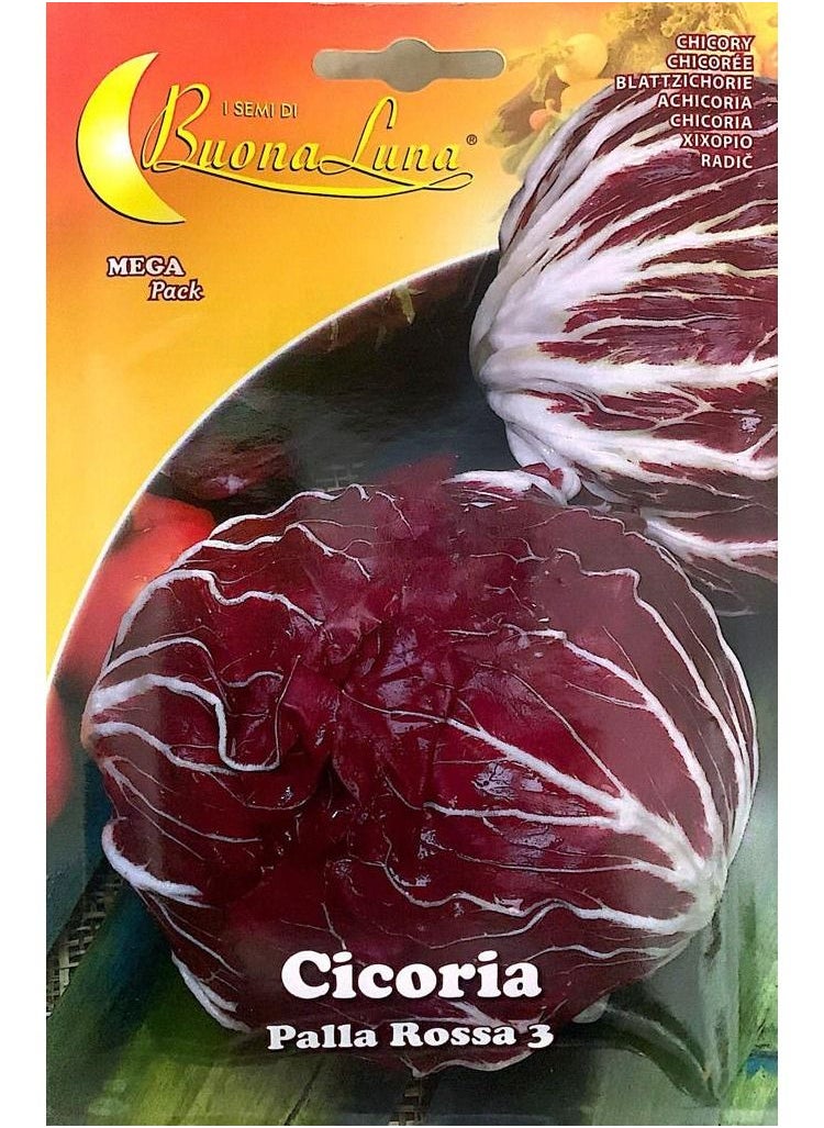 Buona Luna Chicory Seeds  - Image 1