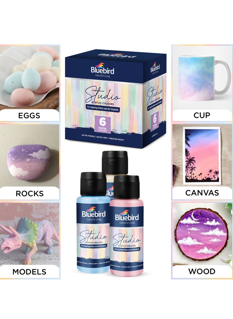 Bluebird Acrylic Paint Pastel Colors Student DIY Painting Pack Non-Toxic Art & Craft for Artists, Kids, Adults & Hobby Painters Set of 6 x 100 ml.