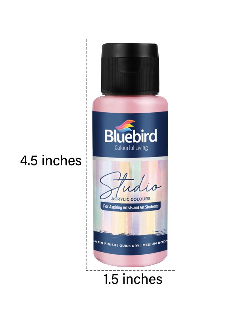 Bluebird Acrylic Paint Pastel Colors Student DIY Painting Pack Non-Toxic Art & Craft for Artists, Kids, Adults & Hobby Painters Set of 6 x 100 ml.