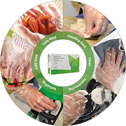 MoloTAR 500 Pieces Plastic Disposable Gloves,Disposable Gloves for Cleaning, [ One Size Fits Most ] - Image 4