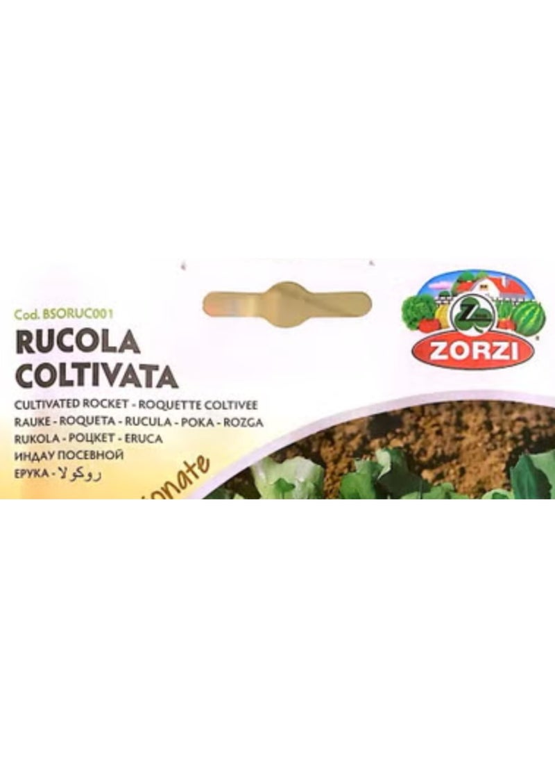 ZORZI Cultivated Rocket (Rucola) Seeds - Image 3