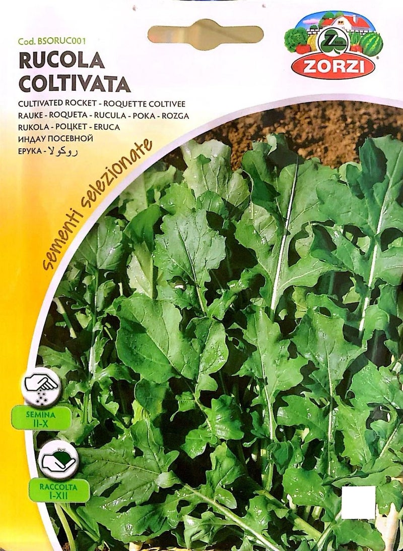 ZORZI Cultivated Rocket (Rucola) Seeds - Image 1