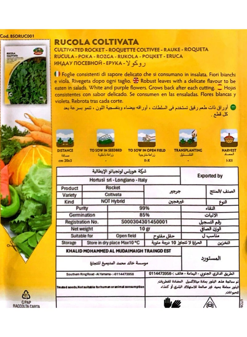 ZORZI Cultivated Rocket (Rucola) Seeds - Image 2