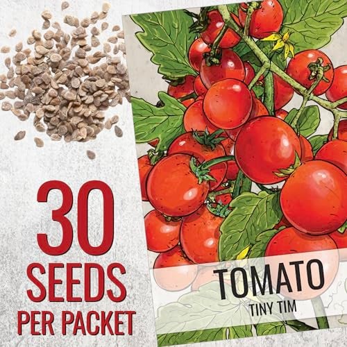 Seed Needs Tiny Tim Tomato Seeds for Planting Dwarf Cherry Tomatoes - Non-GMO Heirloom & Untreated Veggie Seed to Plant a Home Grown Outdoor Vegetable Garden (1 Pack) - Image 2