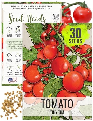 Seed Needs Tiny Tim Tomato Seeds for Planting Dwarf Cherry Tomatoes - Non-GMO Heirloom & Untreated Veggie Seed to Plant a Home Grown Outdoor Vegetable Garden (1 Pack) - Image 1