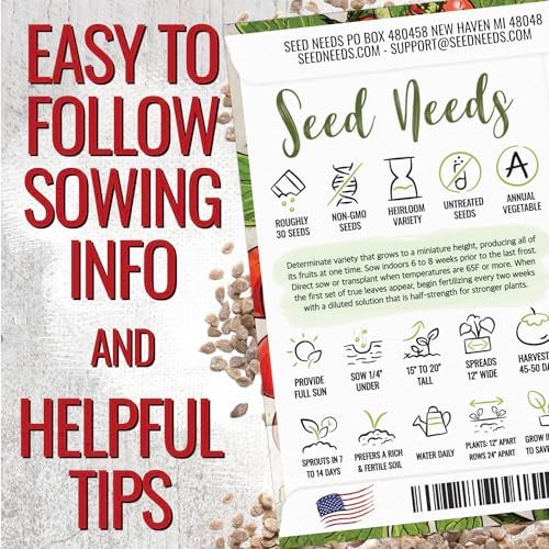Seed Needs Tiny Tim Tomato Seeds for Planting Dwarf Cherry Tomatoes - Non-GMO Heirloom & Untreated Veggie Seed to Plant a Home Grown Outdoor Vegetable Garden (1 Pack) - Image 3