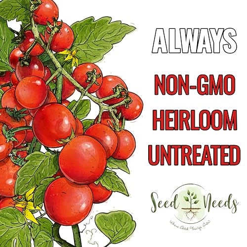 Seed Needs Tiny Tim Tomato Seeds for Planting Dwarf Cherry Tomatoes - Non-GMO Heirloom & Untreated Veggie Seed to Plant a Home Grown Outdoor Vegetable Garden (1 Pack) - Image 4