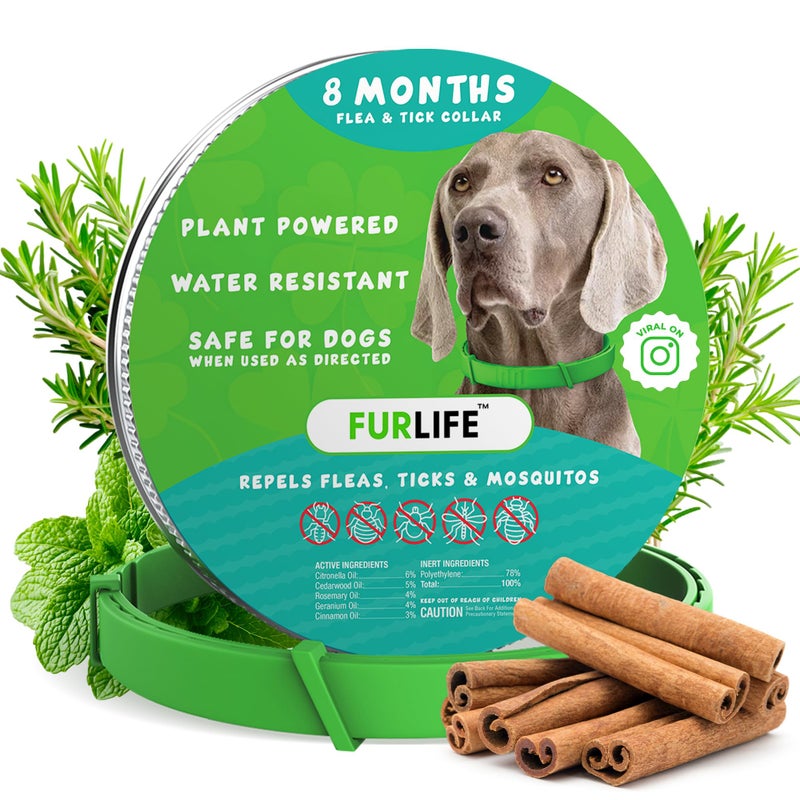 FurLife Flea and Tick Collar for Dogs â€“ Waterproof Green Dog Collar, Pet Supplies for Tick and Flea Prevention for Dogs, Safe for All Breeds - Image 1