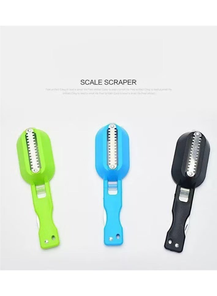 Stainless Steel Fish Scaler-Multicolour - Image 3