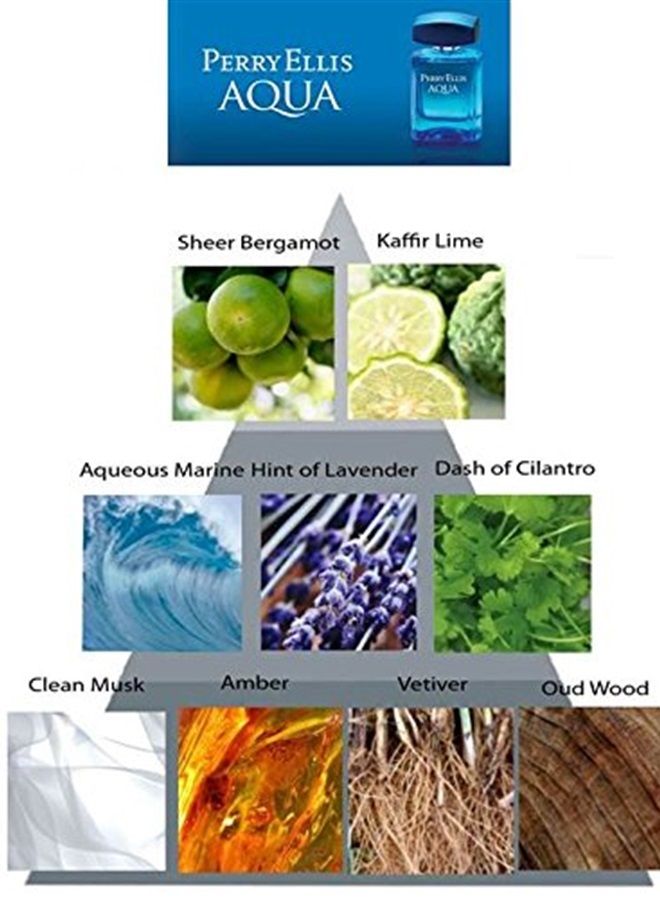 Perry Ellis Aqua Men 3.4oz EDT Spray, 0.25oz EDT Spray, 6.8oz Deodorizing Body Spray, 1.7oz Shower Gel 4 Pc Gift Set - Image 2