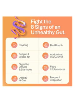 The Good Bug Gut Balance Super Stick Immunity Probiotics + Inulin + Vitamin C- For Men And Women, 30 Days Pack  - Image 2
