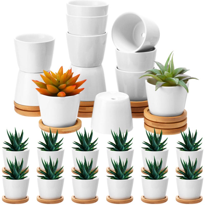Hsei 24 Pack 25 Inch Mini Succulent Plant Pots Small Ceramic Flower Pot with Bamboo Tray Garden Cactus Herb Container Home Office Decoration for Birthday WeddingWhite
