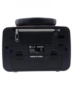 Denx DENX/DX2427 Classic Portable Radio with Bluetooth Speaker: Dink's Brand  - Image 4