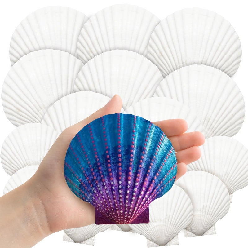 YUJUN 18PCS Large Shell for Crafts DIY Painting Natural Scallop Shells Decoration - Image 1