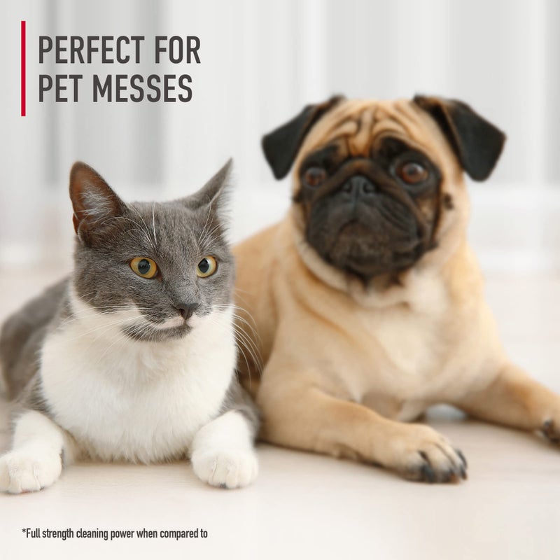 HOOVER محلول تنظيف البقع المحمولة للحيوانات الأليفة من هوفر، 32 أونصة، برائحة النسيم الاستوائي، محلول شامبو للأثاث والسجاد، يقضي على فوضى الحيوانات الأليفة والروائح، مصمم لجهاز تنظيف البقع هوفر كلين سلايت - Image 2