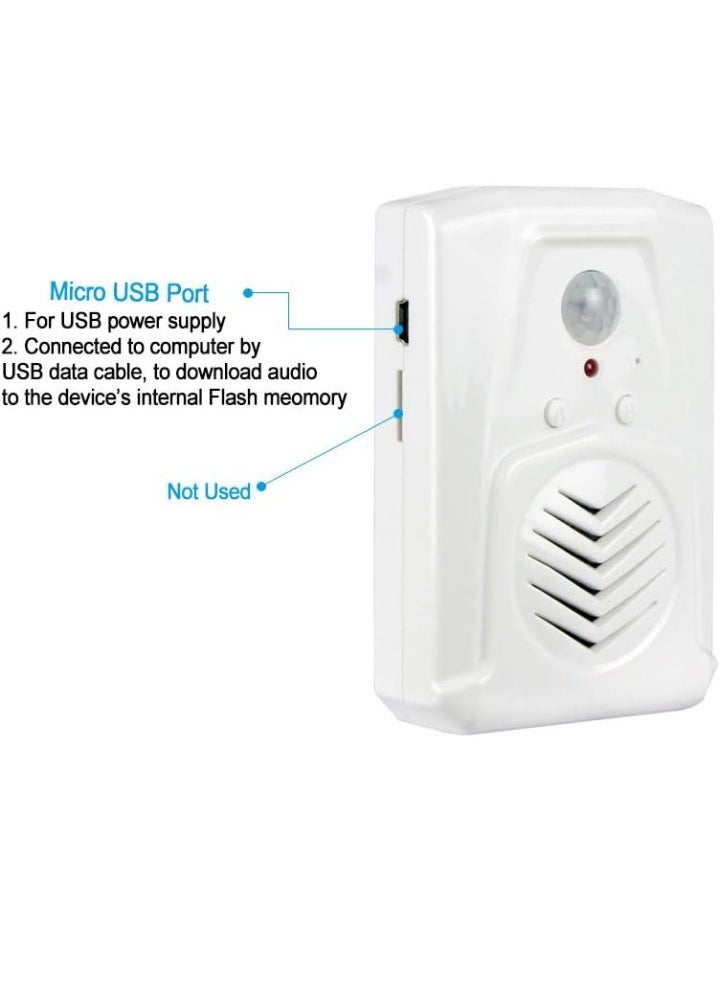 Motion Activated Voice Player, V22 Small Audio Speaker With Pir Motion Sensor, Durable Motion Detector With Audio Recording, Audio Player With USB Download Function, (1pc)