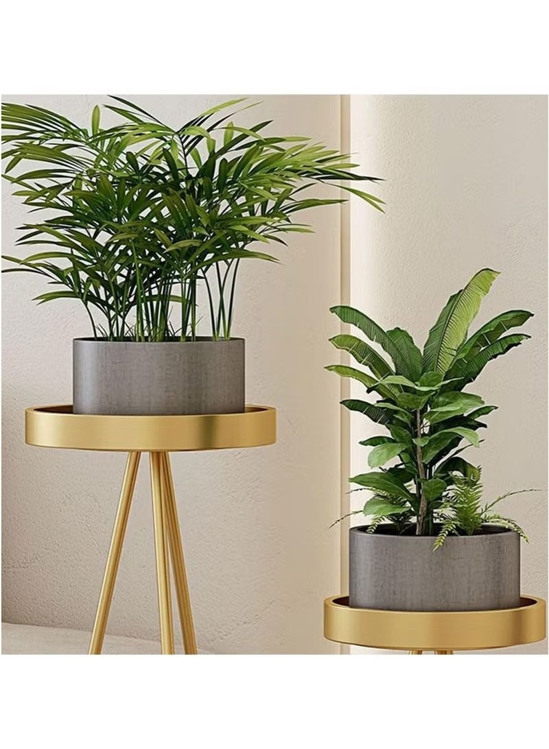 بيوينتي حامل النبات - Image 3