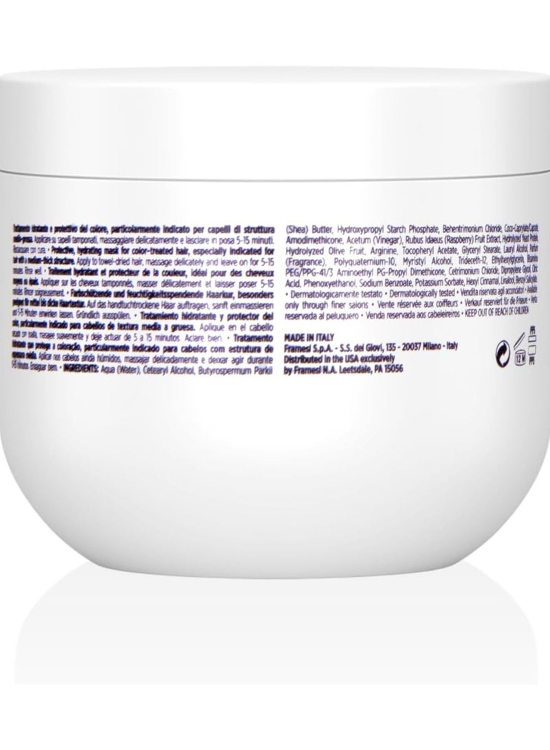 framesi MORPHOSIS - COLOR PROTECT INTENSIVE TREATMENT 250ML - Image 2