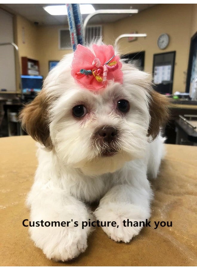 Sufermoe - 32 Pcs Multicolored Dog Hair Bows With Rubber Bands, Hair Grooming Top Knots Pet Hair Accessories For Pet Cat Dog - Image 1