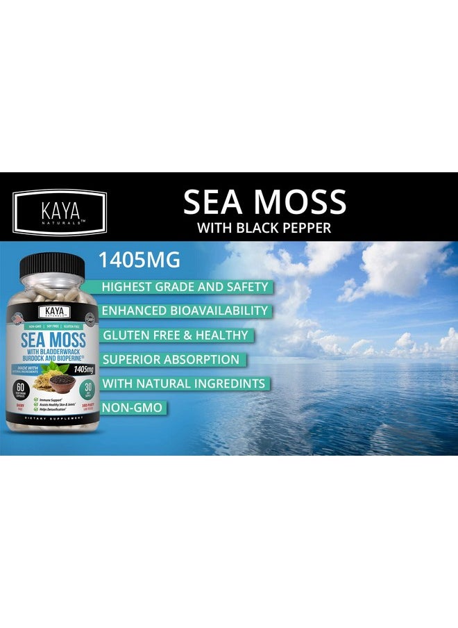 Kaya Naturals - Sea Moss ; Joint Supplement For Men And Women ; With Organic Burdock Root Irish Moss Bladderwrack And Bioperine ; For Joint Health And Immune Boost All Natural Sea Moss (60 Capsules) - Image 1