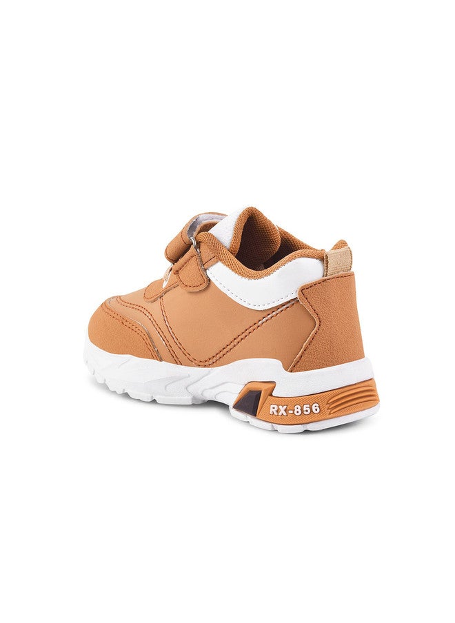 KATS Boys Colourblocked Beige Sneakers with Velcro Fastening - Image 4