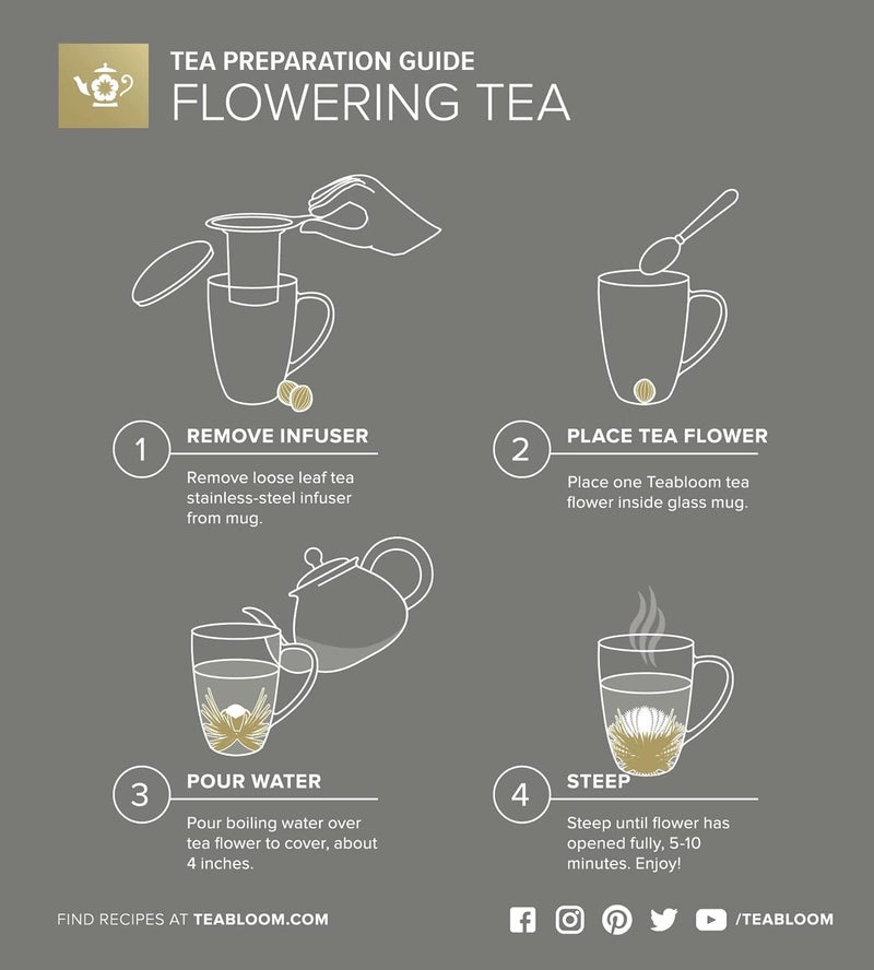 Teabloom كوب زجاجي مقاوم للحرارة مع مصفاة شاي فضفاضة وغطاء – 15 أونصة / 430 مل – يتضمن 2 شاي مزهر - Image 5